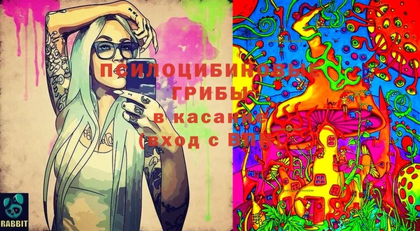 соль ск Алексеевка