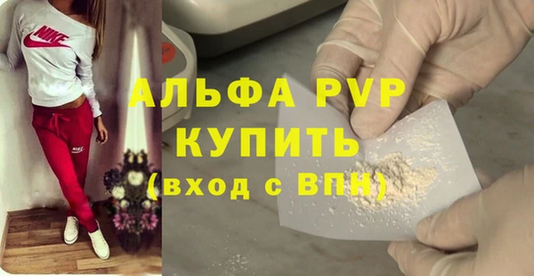стаф Алзамай