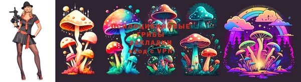 соль ск Алексеевка