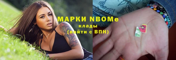 стаф Алзамай